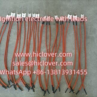 Ignition electrode with 2 leads